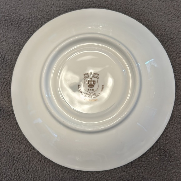 Vintage Bone China, Bouquet of the Month OCTOBER Tea Cup & Saucer - Picture 8 of 11